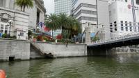 Cavenagh Bridge 1