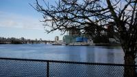 False Creek 50