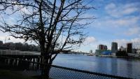 False Creek 51