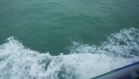 Singapore Island Cruise Ferry 40