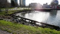 False Creek 61