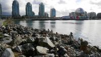 False Creek 70