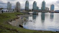 False Creek 71