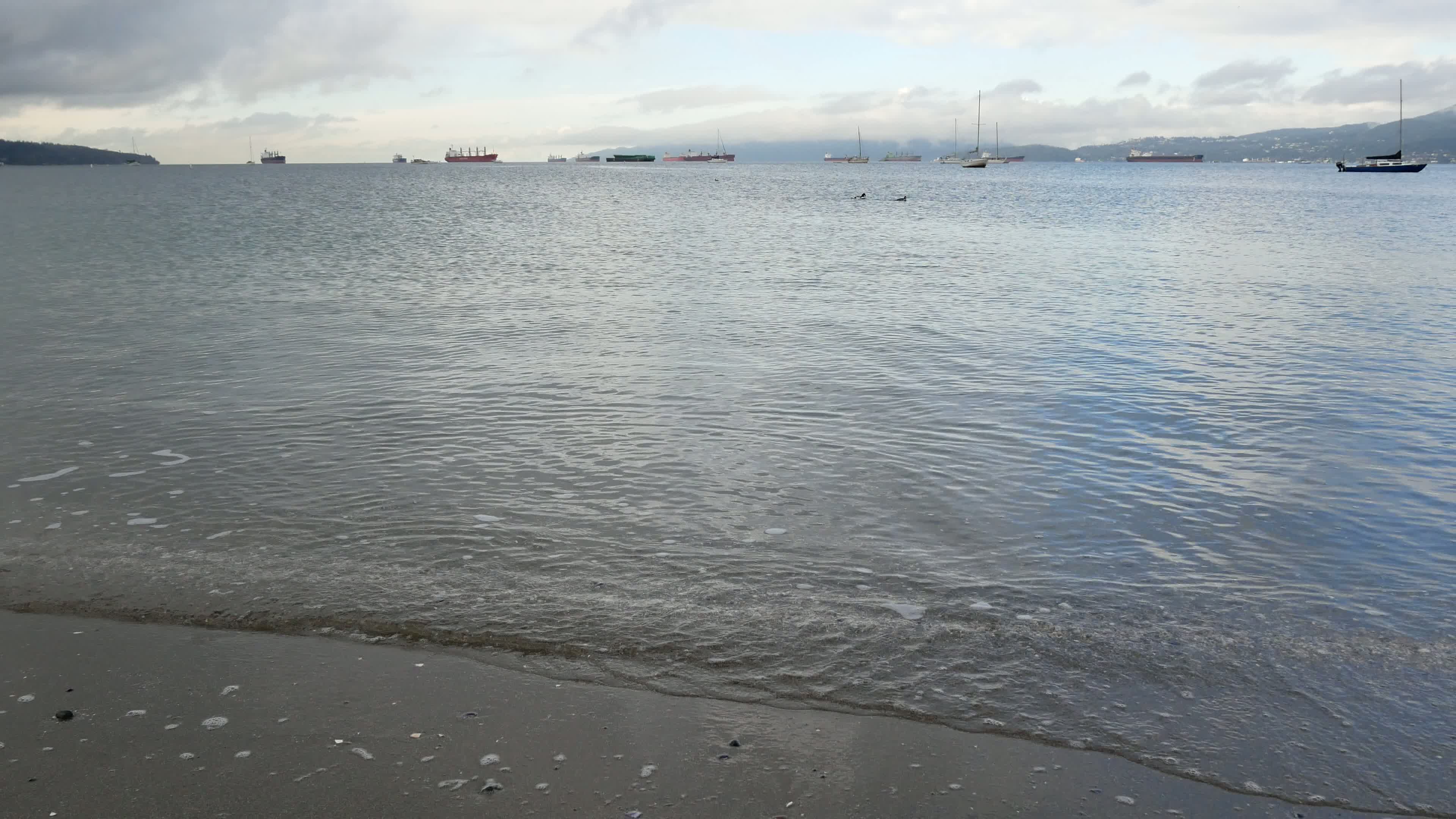 Kitsilano Beach Video 7