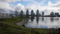 False Creek 74