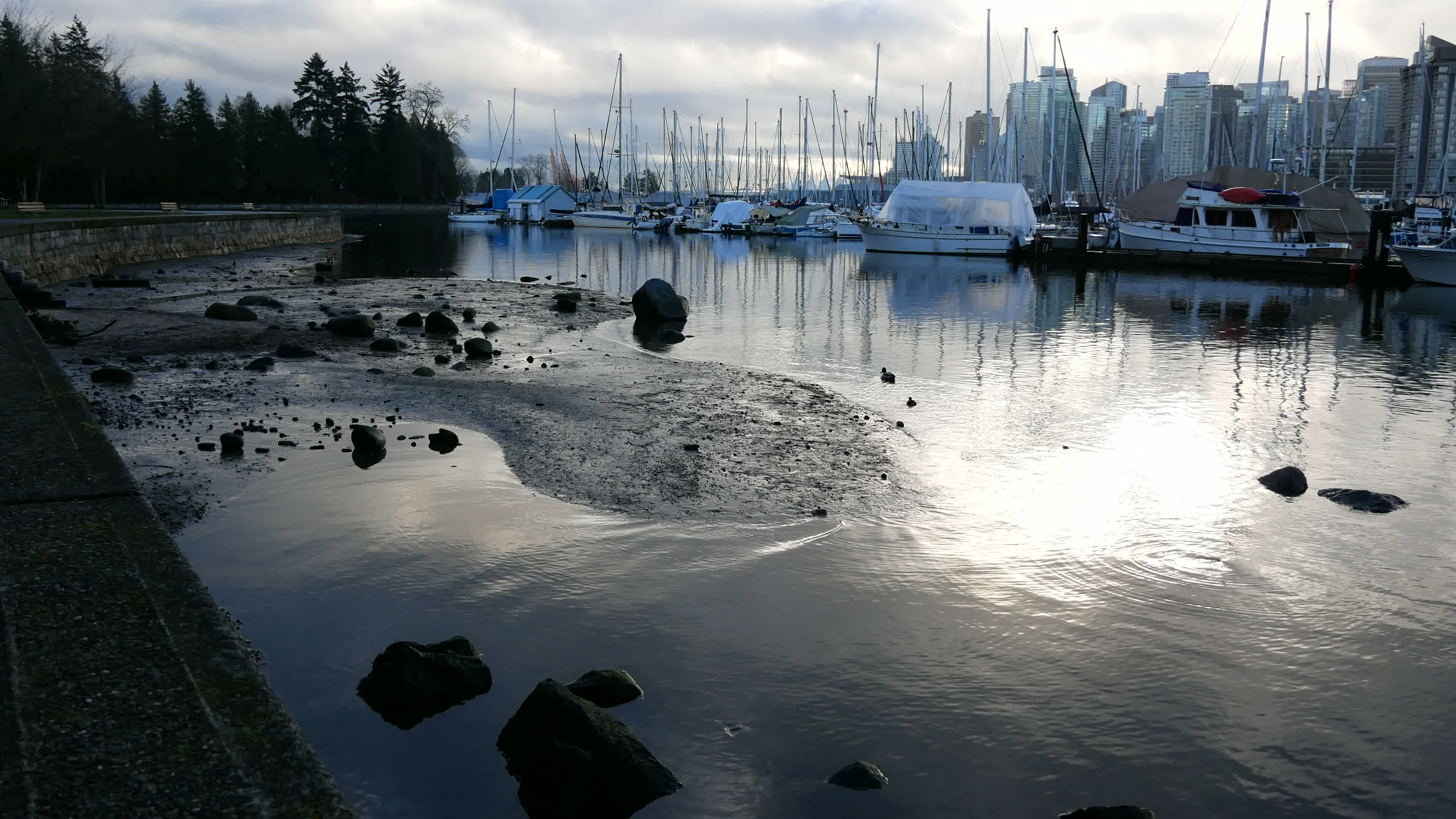 Stanley Park Video 5