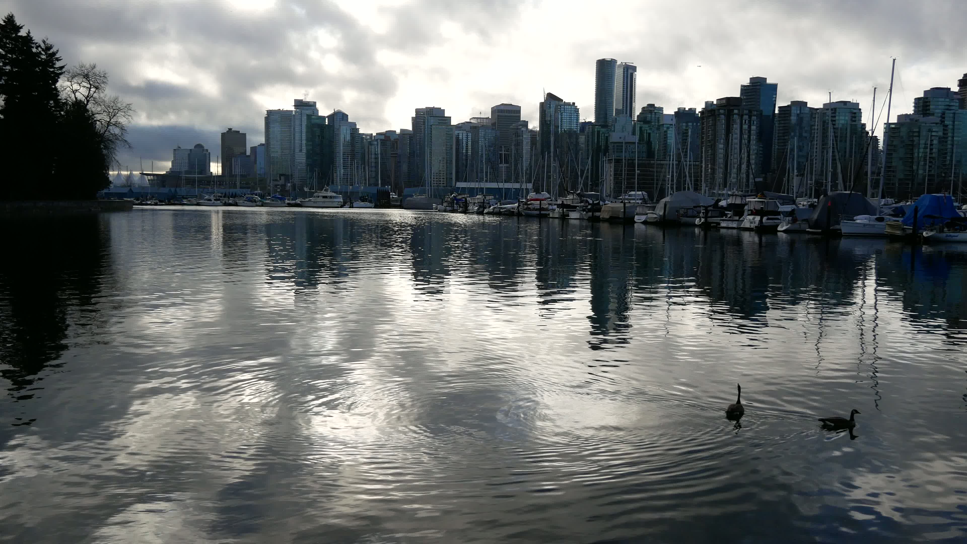 Stanley Park Video 10