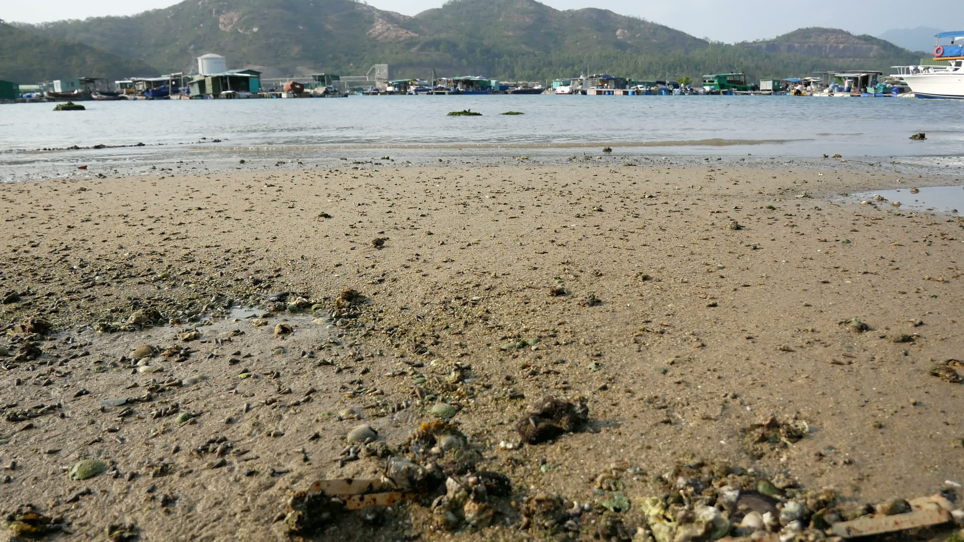 Lamma Island Video 3