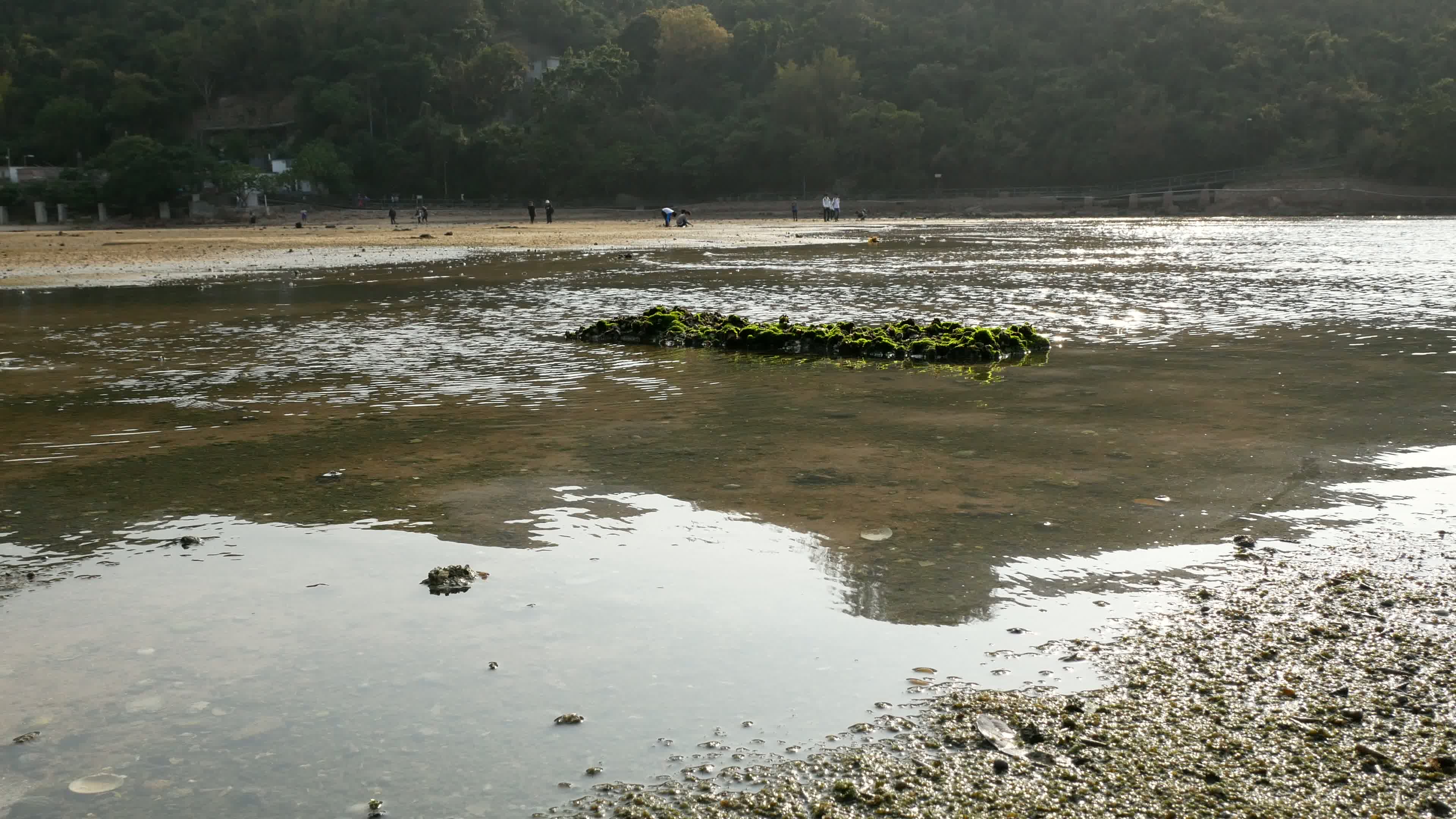 Lamma Island Video 5