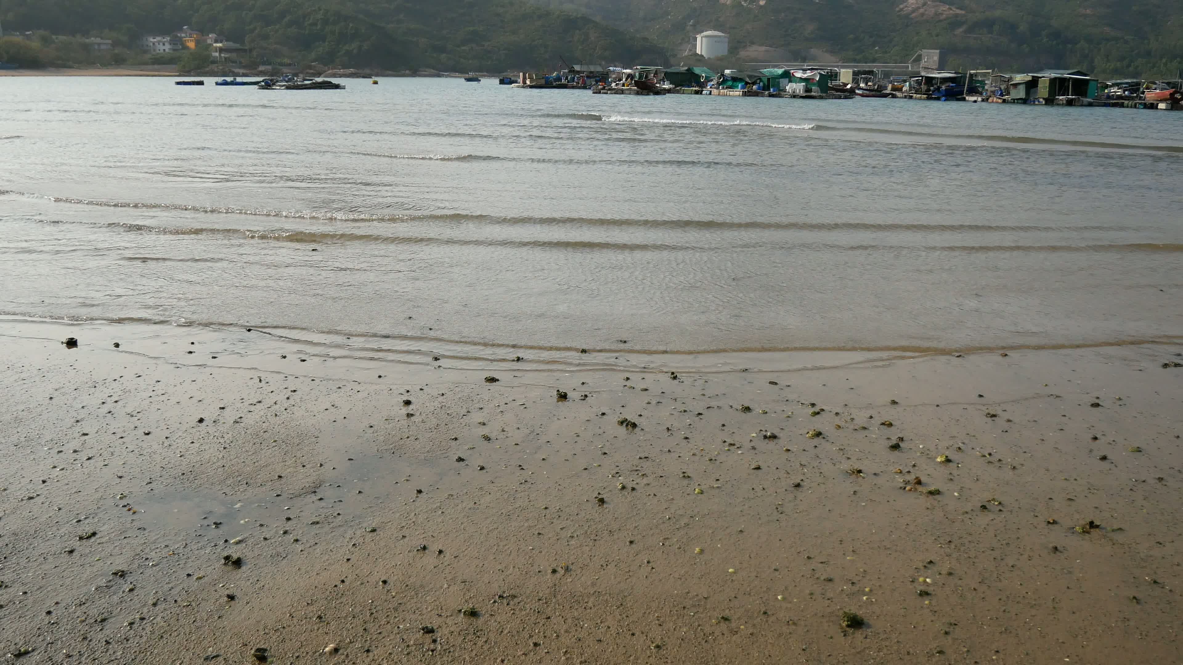 Lamma Island Video 6