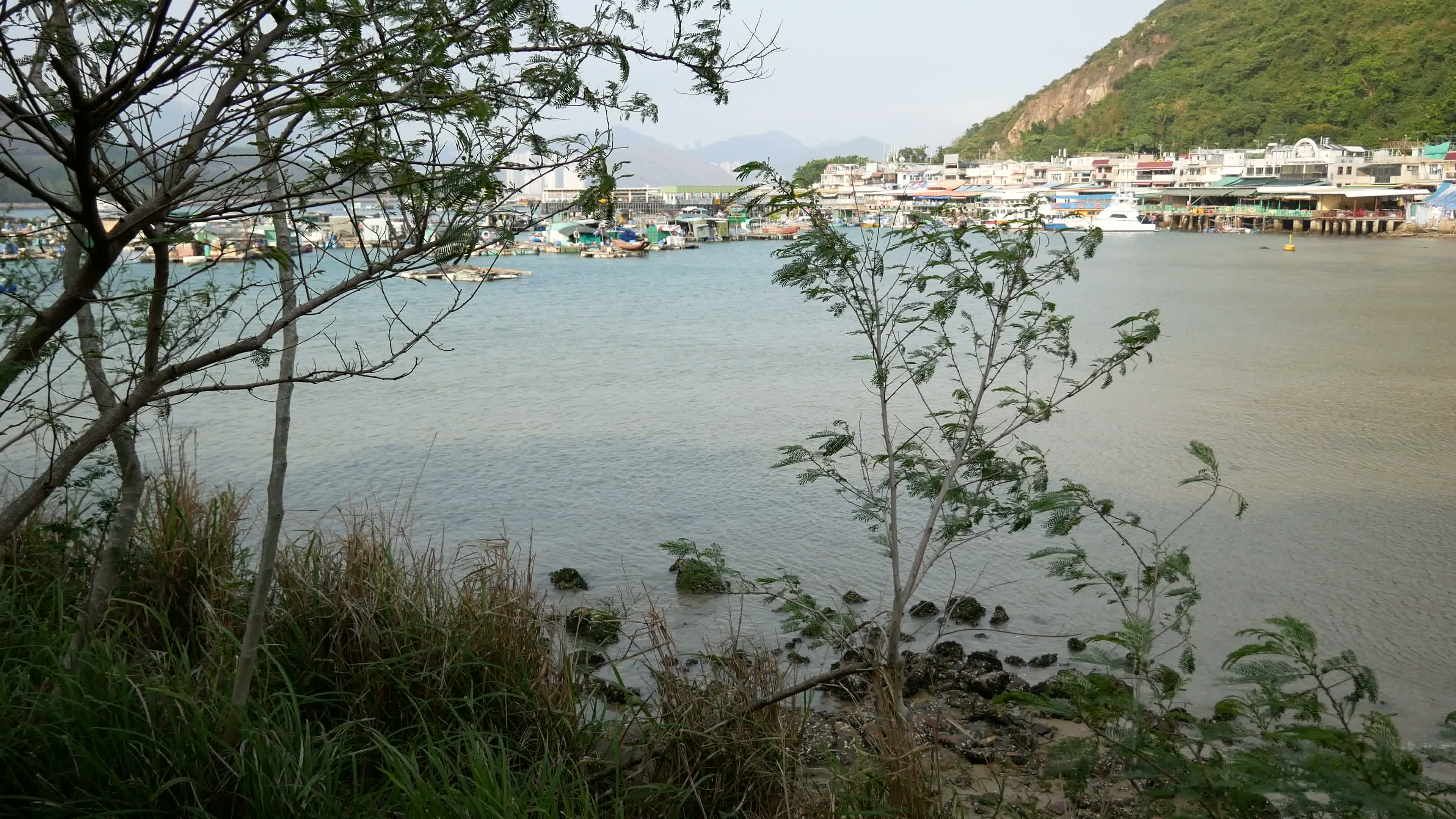 Lamma Island Video 8