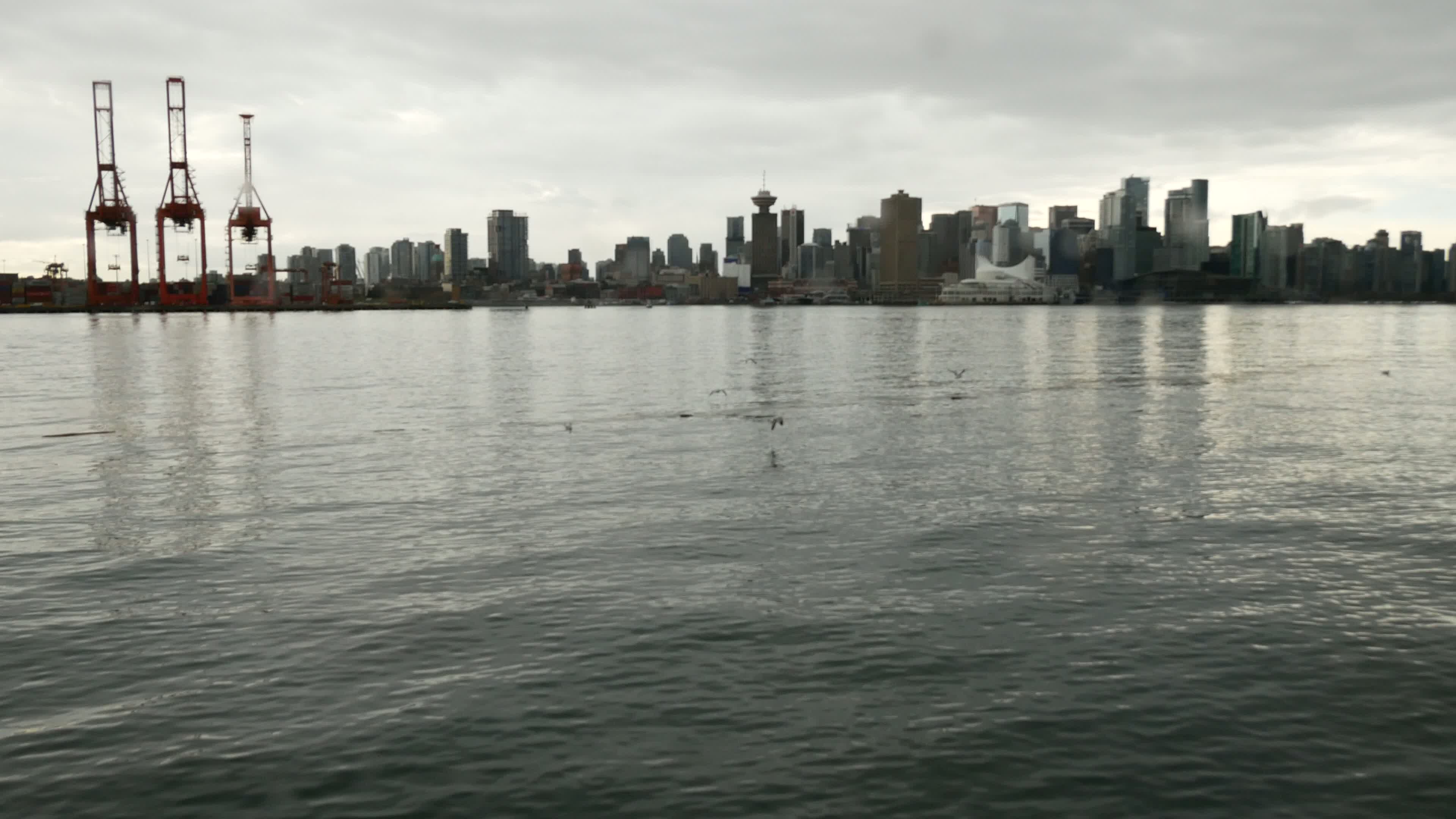 Vancouver Harbour Video 26