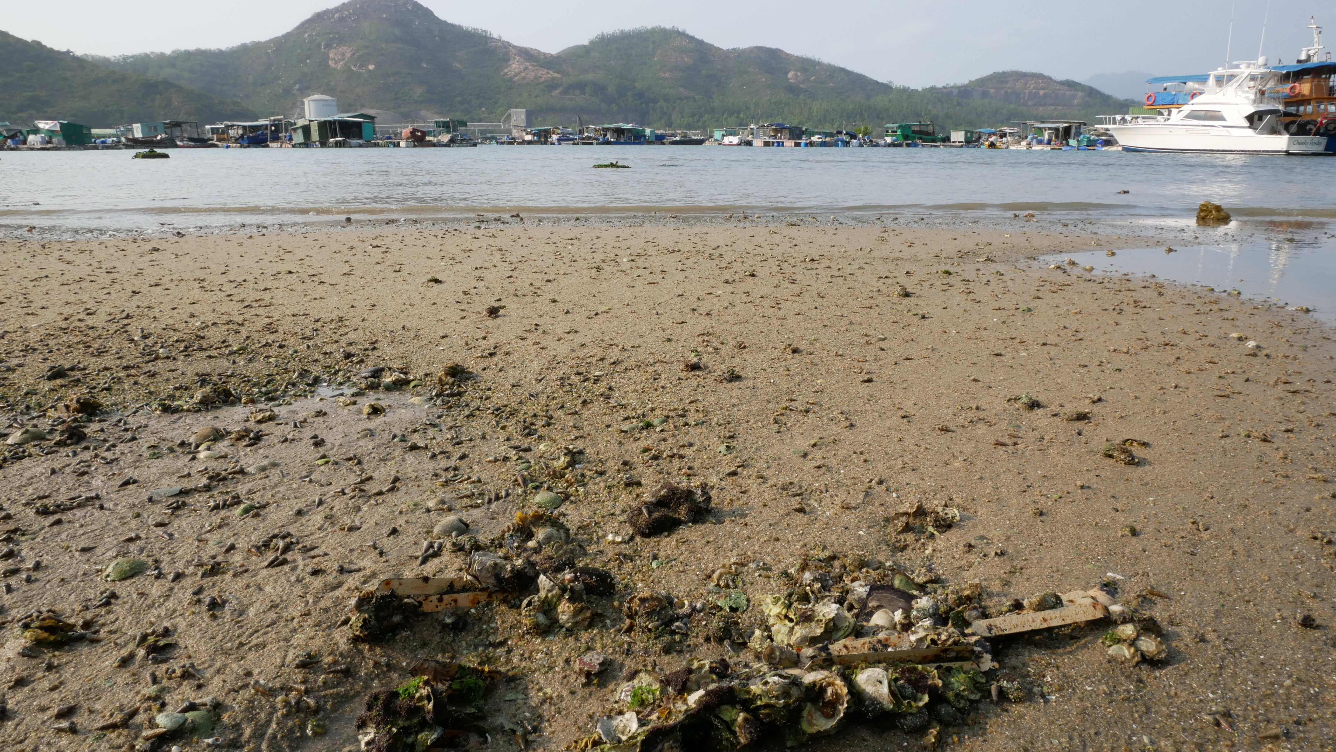 Lamma Island Ambient Sounds