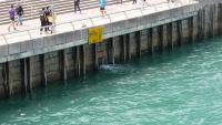 Star Ferry 31