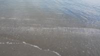 Kitsilano Beach 23