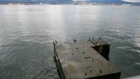 Vancouver Harbour 21