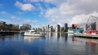 False Creek 87