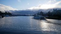 Stanley Park 4