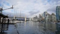 False Creek 3