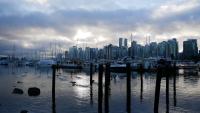 Stanley Park 9