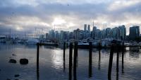 Stanley Park 11