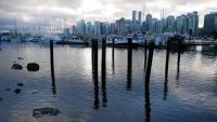 Stanley Park 14