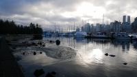 Stanley Park 15