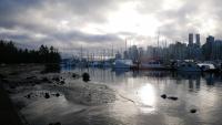 Stanley Park 17