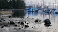 Stanley Park 18