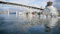 False Creek 6