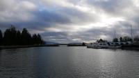 Stanley Park 46