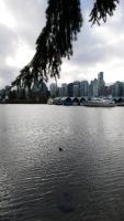 Stanley Park 52