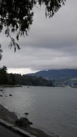 Stanley Park 103