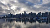 Stanley Park 110