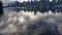 Stanley Park 112