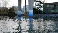 False Creek 19