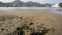 Lamma Island 5