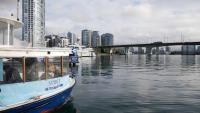 False Creek 23