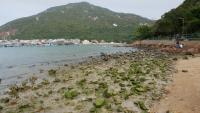 Lamma Island 39