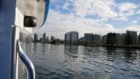 False Creek 26