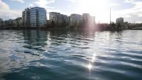 False Creek 29