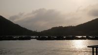 Lamma Island 65