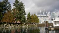 False Creek 31