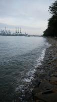 Labrador Park 7