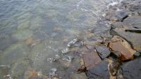 Labrador Park 8