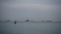 Labrador Park 12