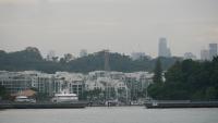 Labrador Park 56