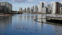 False Creek 43