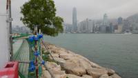 West Kowloon 60