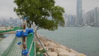 West Kowloon 64